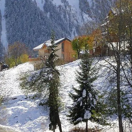 Chalet Moderne, Spacieux Et Proche Des Pistes - 12 Pers. - Fr-1-267-259 *